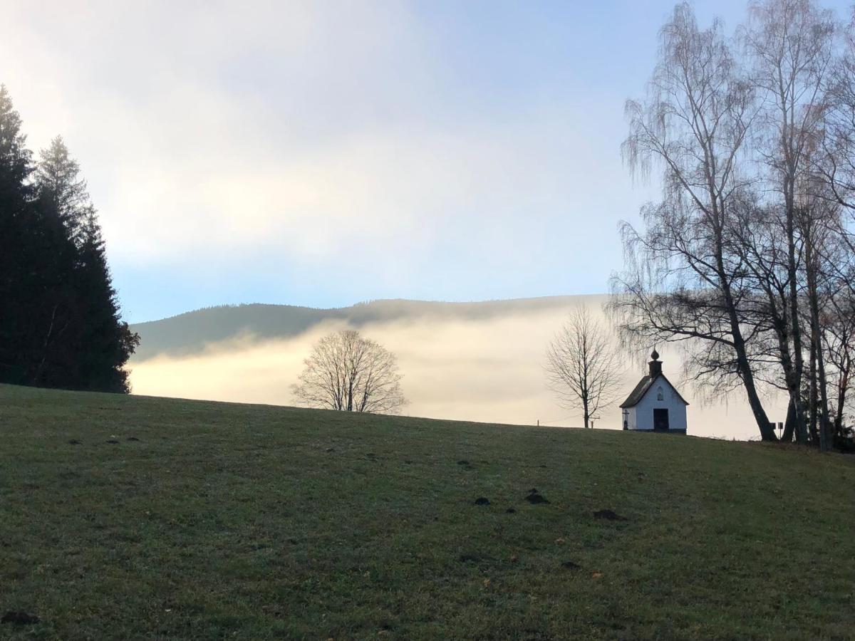Chata Jezevec Hojsova Stráz Exterior foto