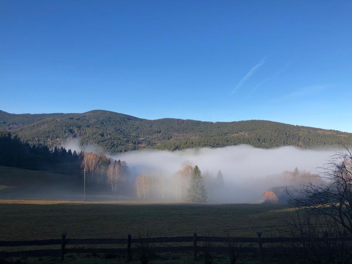 Chata Jezevec Hojsova Stráz Exterior foto